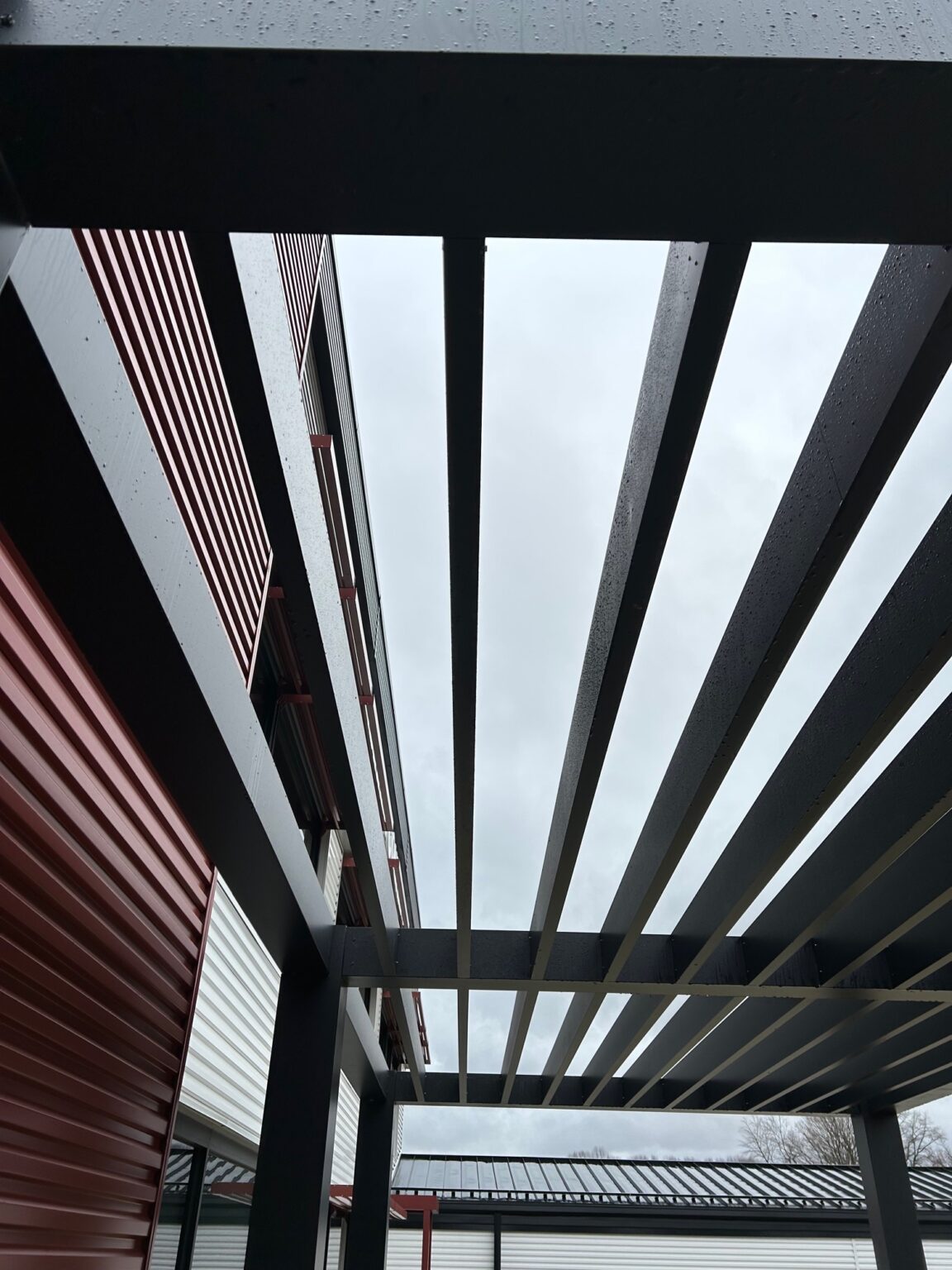 Custom Metal Trellises Designs, Styles, & More